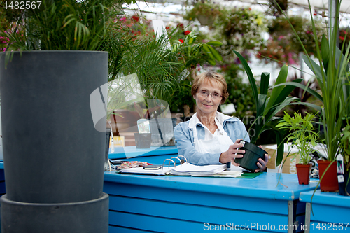 Image of Senior Worker in Garden Center