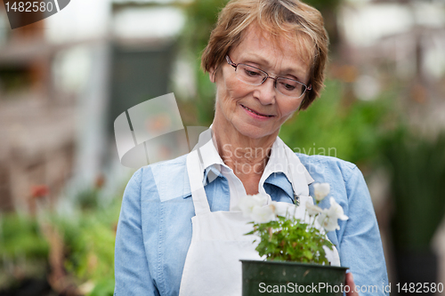 Image of Senior woman holding potted plant