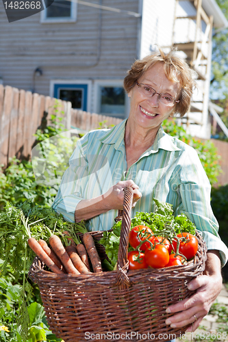Image of Senior woman holding basket full of vegetables