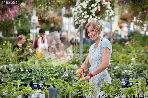 Image of Beautiful woman spraying water on plants