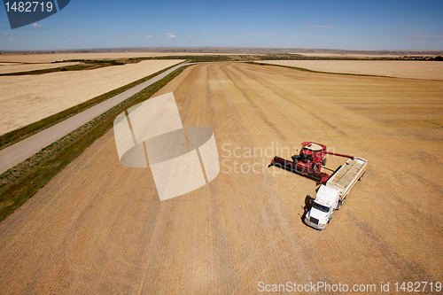 Image of Harvest Aerial