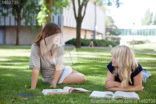 Image of Girls Studying Outdoors