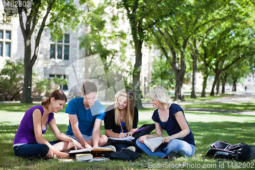Image of College students studying together