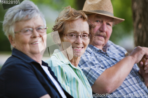 Image of Senior friends sitting together in park