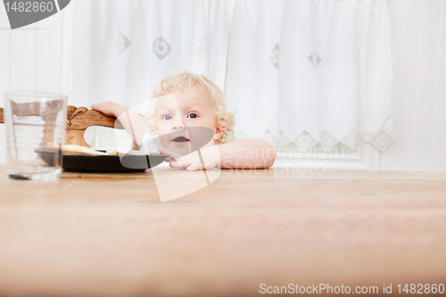 Image of Baby reaching for food