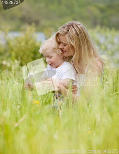 Image of Mother and Son with Dandelion in Meadow