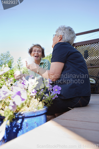 Image of Senior Women Laughing Together