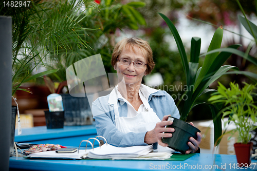 Image of Senior Woman Cashier in Garden Center