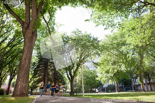 Image of Group of University Students Walking on Campus