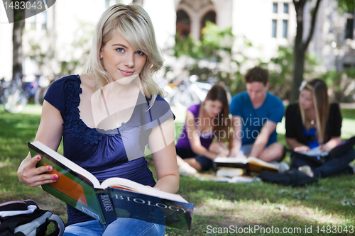 Image of Students studying together