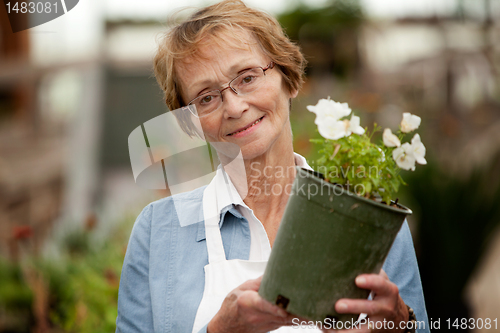 Image of Senior Woman Holding Potted Plant