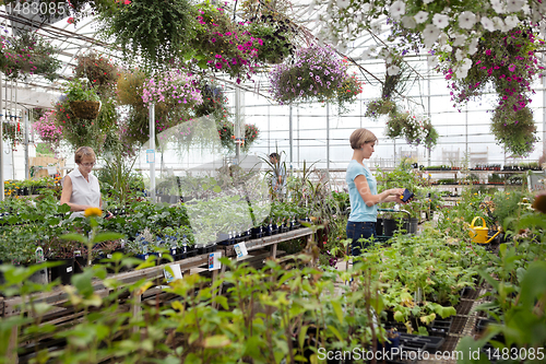 Image of People at garden centre