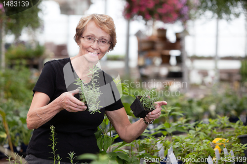 Image of Woman holding potted plants