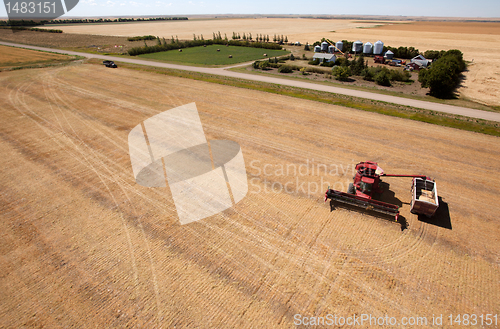 Image of Harvest and Farm