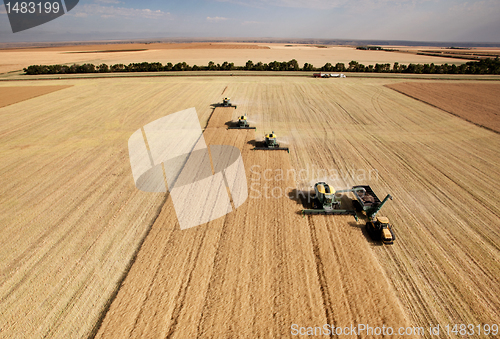 Image of Aerial View of Harvest