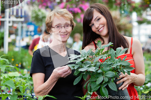 Image of Young woman with her grandmother