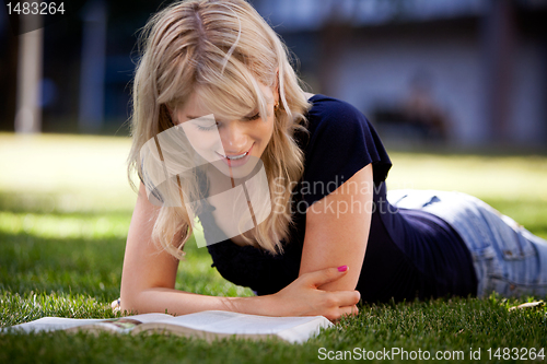 Image of University Student Studying Outdoors