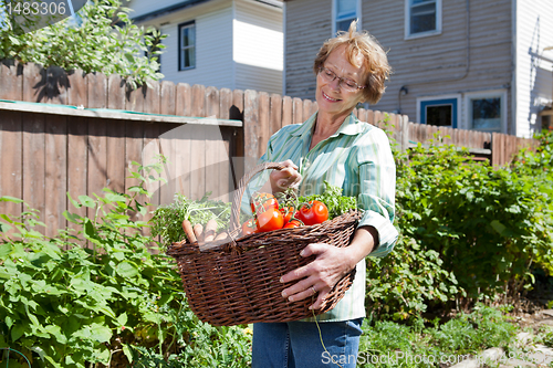 Image of Senior Woman with Vegetables from Garden