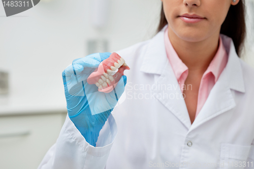 Image of Dentist holding dental mold