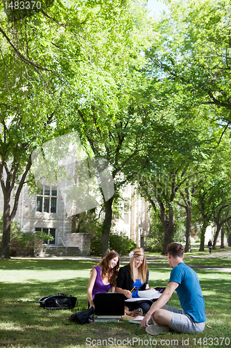 Image of Student Studying Outdoors