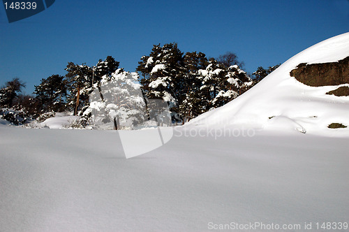 Image of Beautiful landscape