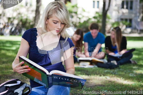 Image of Students studying in campus