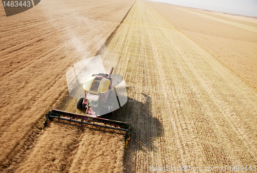 Image of Aerial View of Harvest in Field