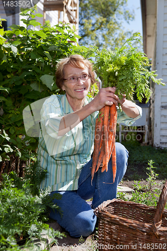 Image of Senior woman holding carrots