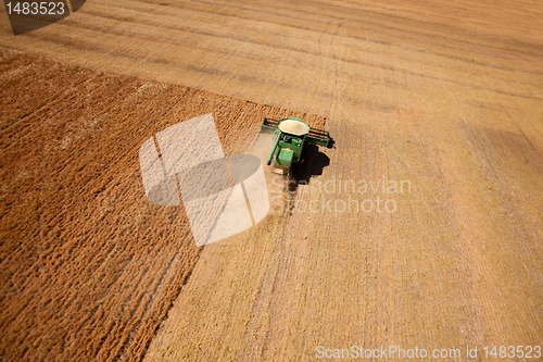 Image of Lentil Harvest Aerial