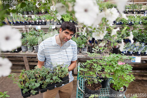 Image of Man buying potted plants