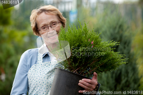 Image of Senior Woman Employee with Shrub