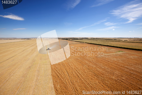 Image of Aerial View of Harvesting