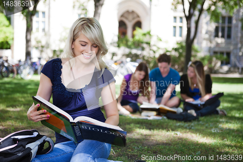 Image of Students reading books