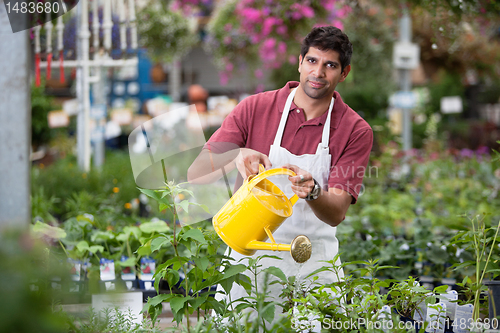 Image of Young Man Watering Plants