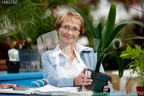 Image of Senior Woman Working