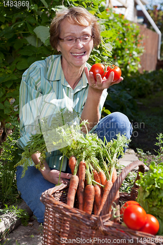 Image of Woman in Garden Picknig Vegetables