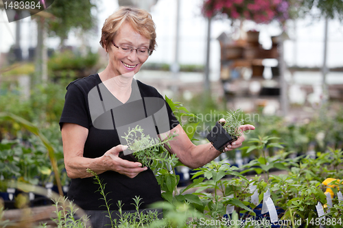 Image of Woman at plant nursery