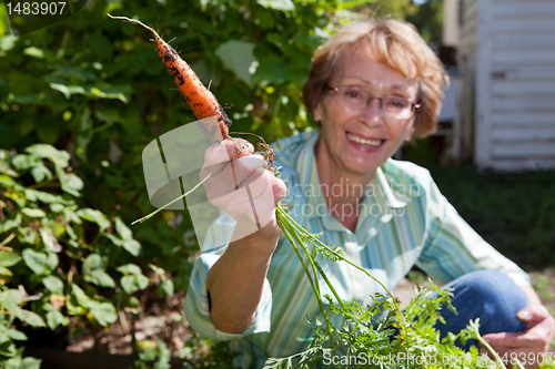 Image of Senior woman holding carrot