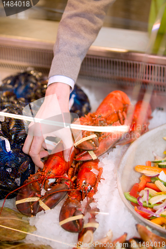 Image of Seafood Lobster