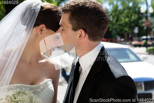 Image of Romantic Newlywed Couple