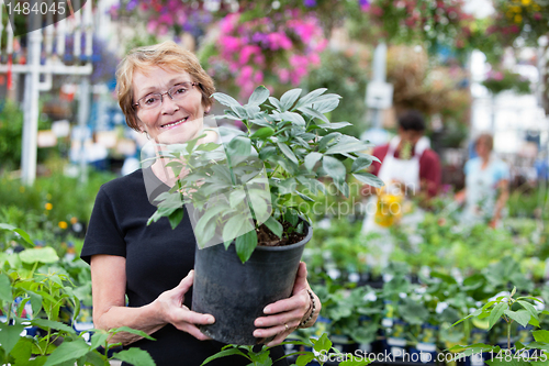 Image of Smiling senior woman holding potted plant