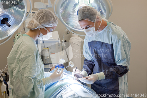 Image of Medical doctor performing an operation on patient