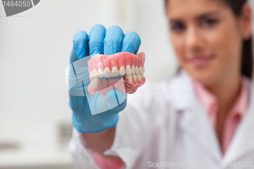 Image of Female dentist holding dental mold