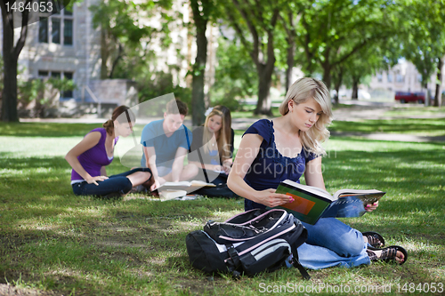 Image of College students studying