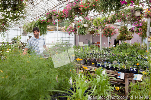 Image of Man at garden centre