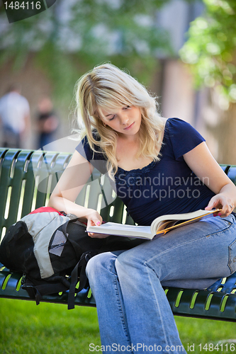 Image of Female Student Studying