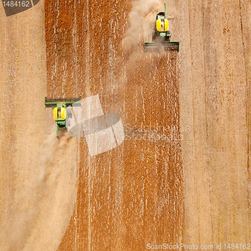 Image of Lentil Field Abstract