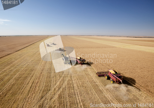 Image of Four Combines in Field