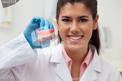 Image of Dentist holding dental mold