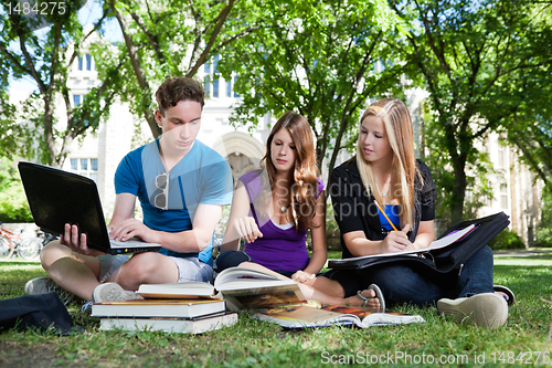 Image of Group of students studying together